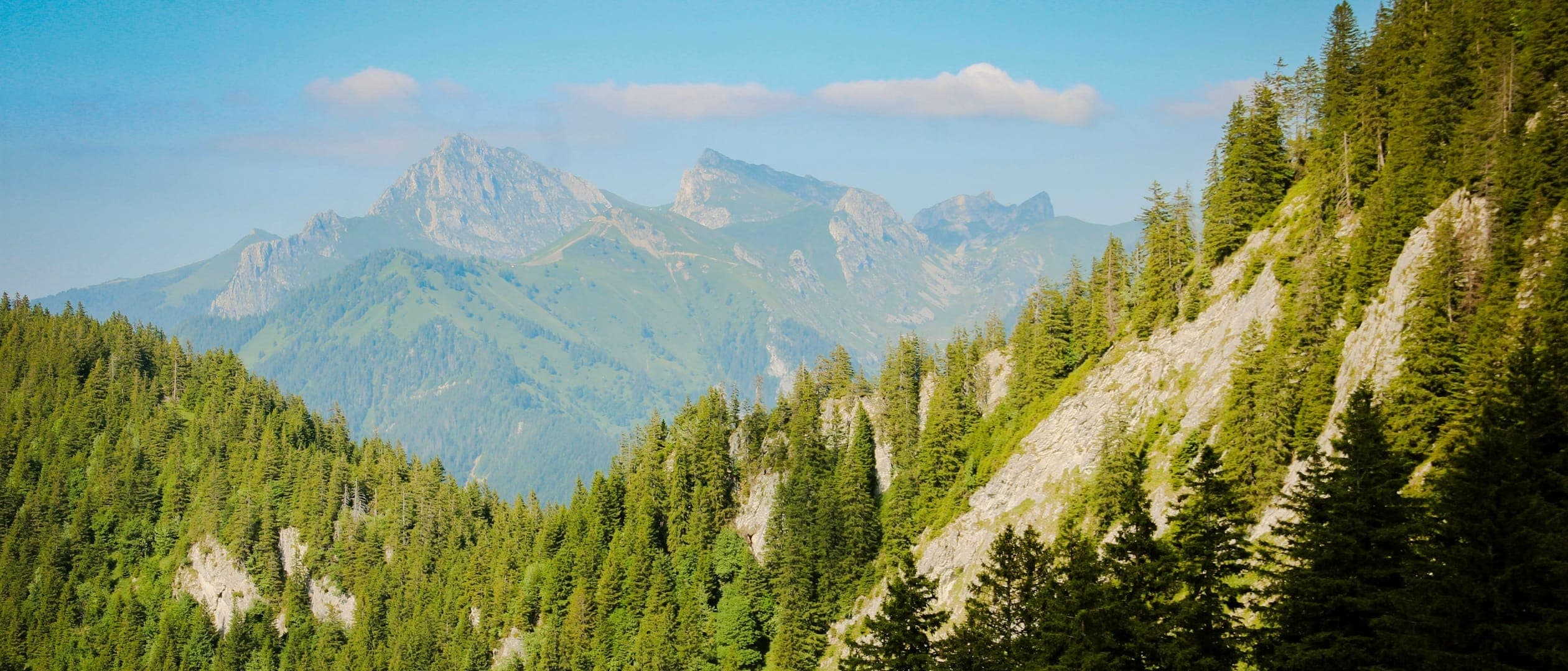 Versants couverts de sapins et de falaises claires au premier plan ; au loin, des sommets rocheux sous un ciel bleu avec quelques nuages.