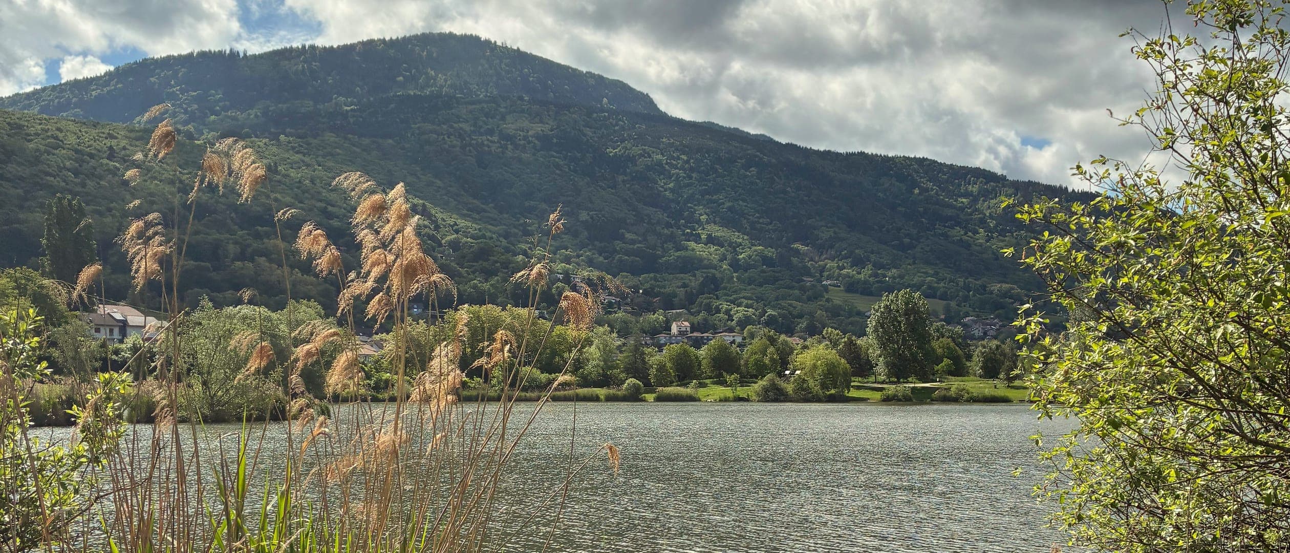 Lac bordé de roseaux et d'arbres au premier plan, au pied d'une montagne boisée du Jura, sous un ciel de nuages blancs percé de bleu.