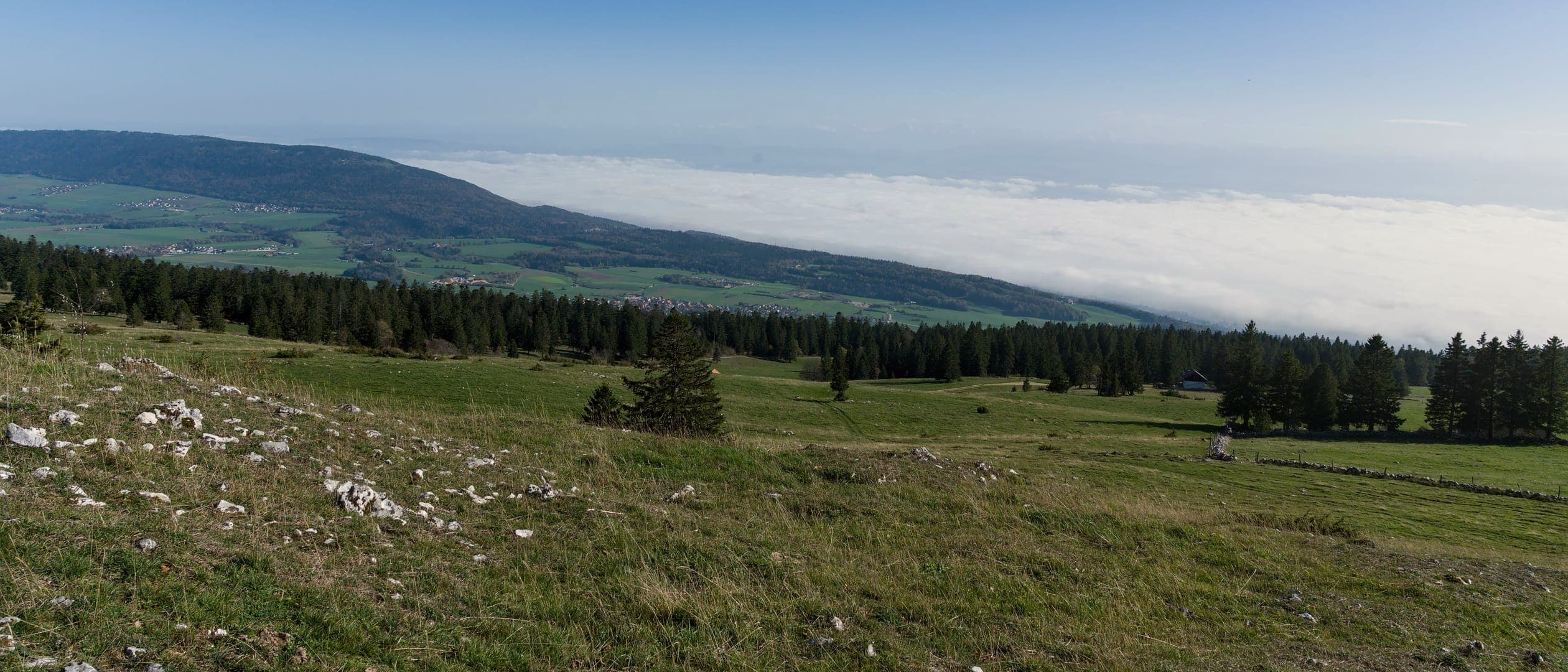 Pâturage caillouteux au premier plan, lisière de sapins et ferme isolée ; en contrebas, un versant boisé et une nappe de brouillard blanc sous un ciel bleu sans nuage.