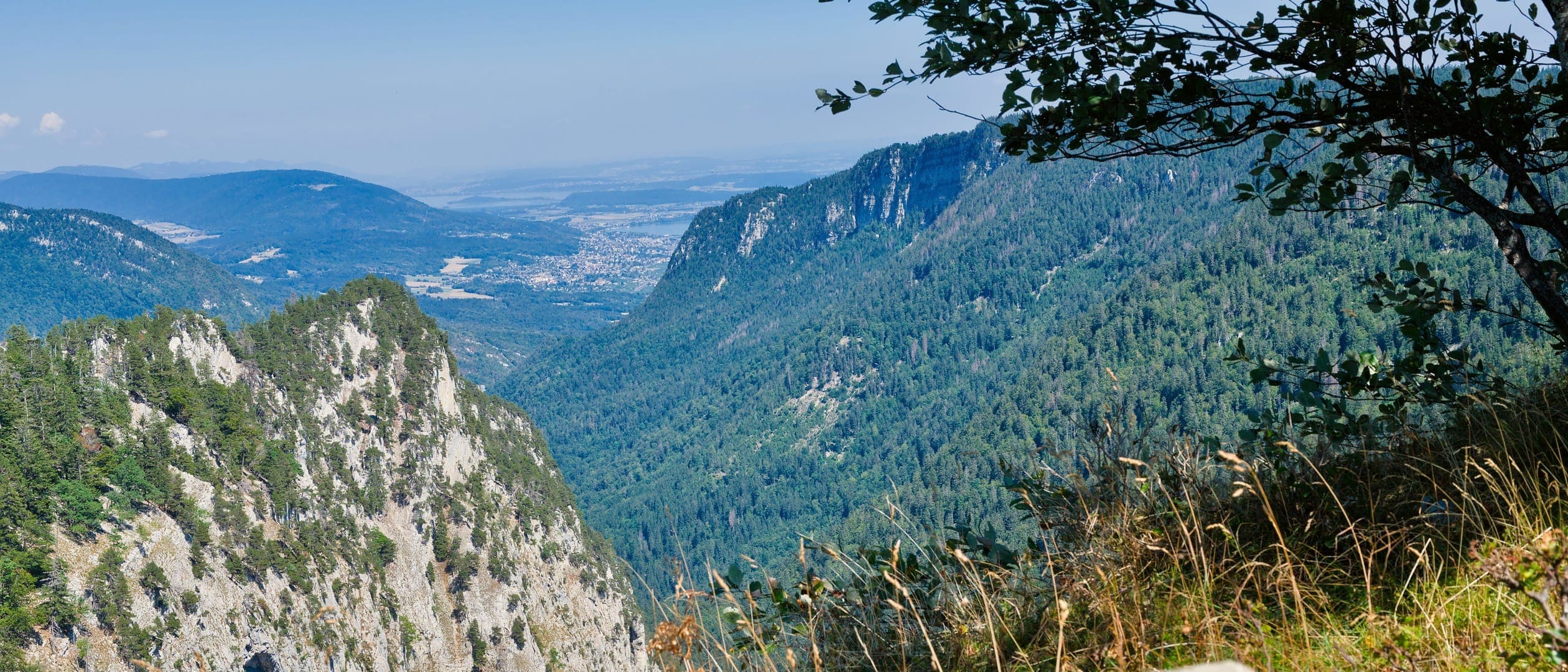 Une gorge profonde bordée de falaises calcaires et de forêts de conifères ; au fond, une plaine avec une ville et des collines bleutées, sous un ciel clair.