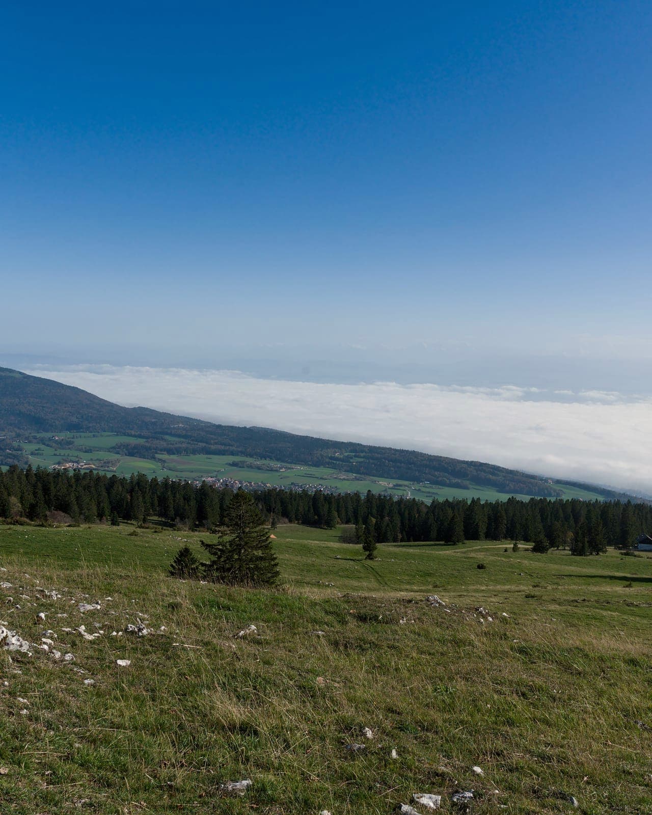 Pâturage caillouteux au premier plan, lisière de sapins et ferme isolée ; en contrebas, un versant boisé et une nappe de brouillard blanc sous un ciel bleu sans nuage.
